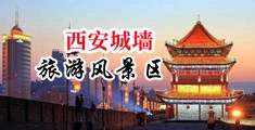 168美女被操逼中国陕西-西安城墙旅游风景区