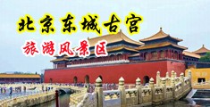 男人插女人下面欧美中国北京-东城古宫旅游风景区
